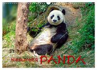 Vorderes Coverbild Niedlicher Panda (Wandkalender 2025 DIN A3 quer), CALVENDO Monatskalender