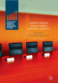 Vorderes Coverbild Understanding Family-Owned Business Groups