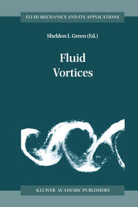 Vorderes Coverbild Fluid Vortices