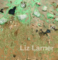Vorderes Coverbild Liz Larner