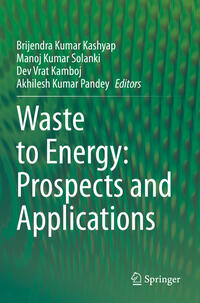 Vorderes Coverbild Waste to Energy: Prospects and Applications