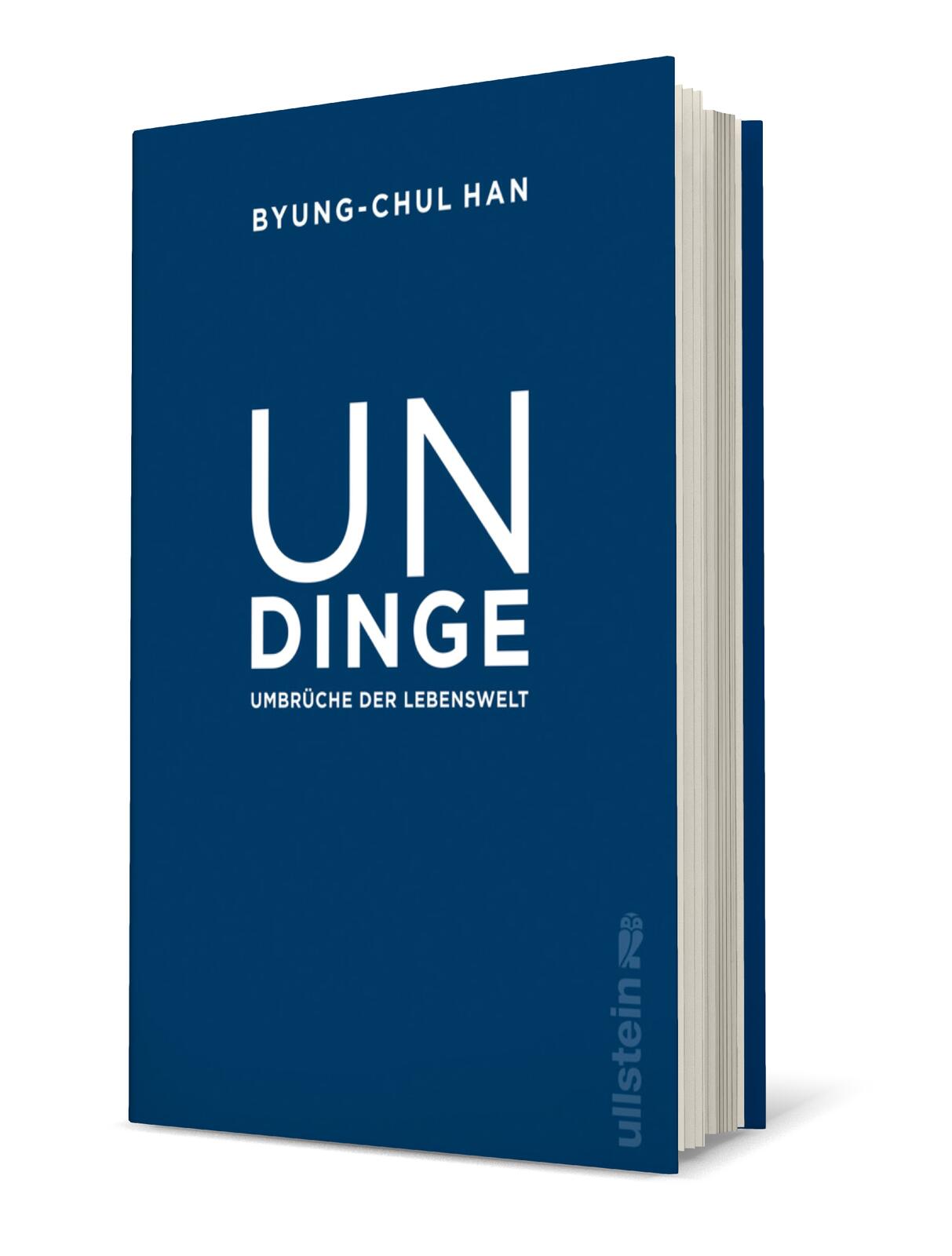 Anderes Coverbild Undinge