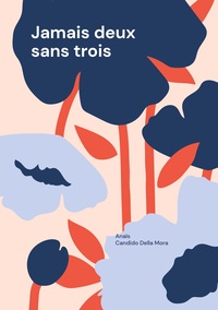 Vorderes Coverbild Jamais deux sans trois