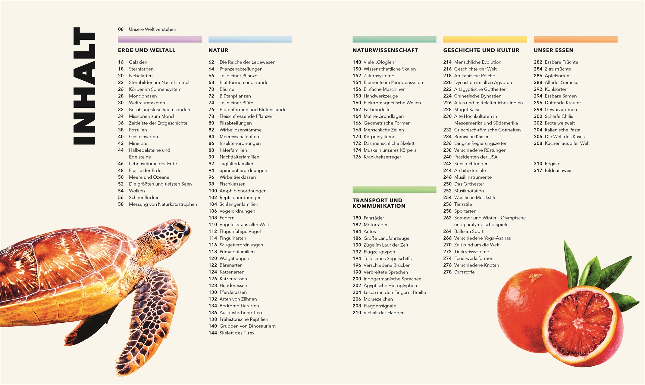Beispielinhalt (Bild) Universum des Wissens