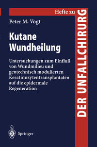 Vorderes Coverbild Kutane Wundheilung