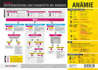 Vorderes Coverbild Medizin (2) - Anämie