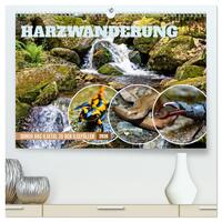 Vorderes Coverbild Harzwanderung-Durch das Ilsetal zu den Ilsefällen (hochwertiger Premium Wandkalender 2026 DIN A2 quer), Kunstdruck in Hochglanz
