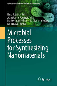Vorderes Coverbild Microbial Processes for Synthesizing Nanomaterials