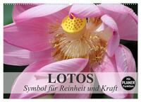 Vorderes Coverbild Lotos. Symbol für Reinheit und Kraft (Wandkalender 2025 DIN A2 quer), CALVENDO Monatskalender