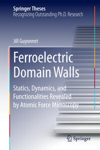 Vorderes Coverbild Ferroelectric Domain Walls