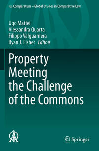 Vorderes Coverbild Property Meeting the Challenge of the Commons