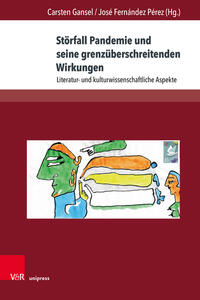Vorderes Coverbild Störfall Pandemie und seine grenzüberschreitenden Wirkungen