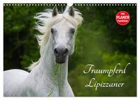 Vorderes Coverbild Traumpferd Lipizzaner (Wandkalender 2025 DIN A3 quer), CALVENDO Monatskalender