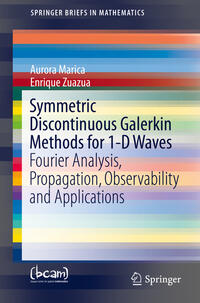 Vorderes Coverbild Symmetric Discontinuous Galerkin Methods for 1-D Waves