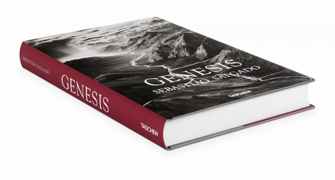 Beispielinhalt (Bild) Sebastião Salgado. Genesis