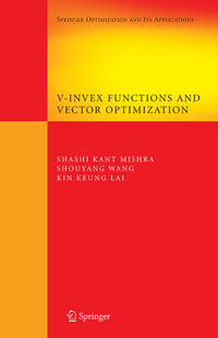 Vorderes Coverbild V-Invex Functions and Vector Optimization