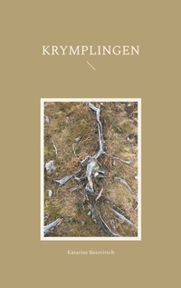 Vorderes Coverbild Krymplingen