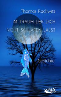 Vorderes Coverbild Im Traum der dich nicht schlafen lässt