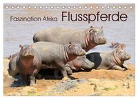 Vorderes Coverbild Faszination Afrika: Flusspferde (Tischkalender 2025 DIN A5 quer), CALVENDO Monatskalender
