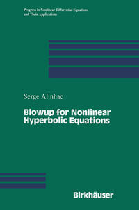 Vorderes Coverbild Blowup for Nonlinear Hyperbolic Equations
