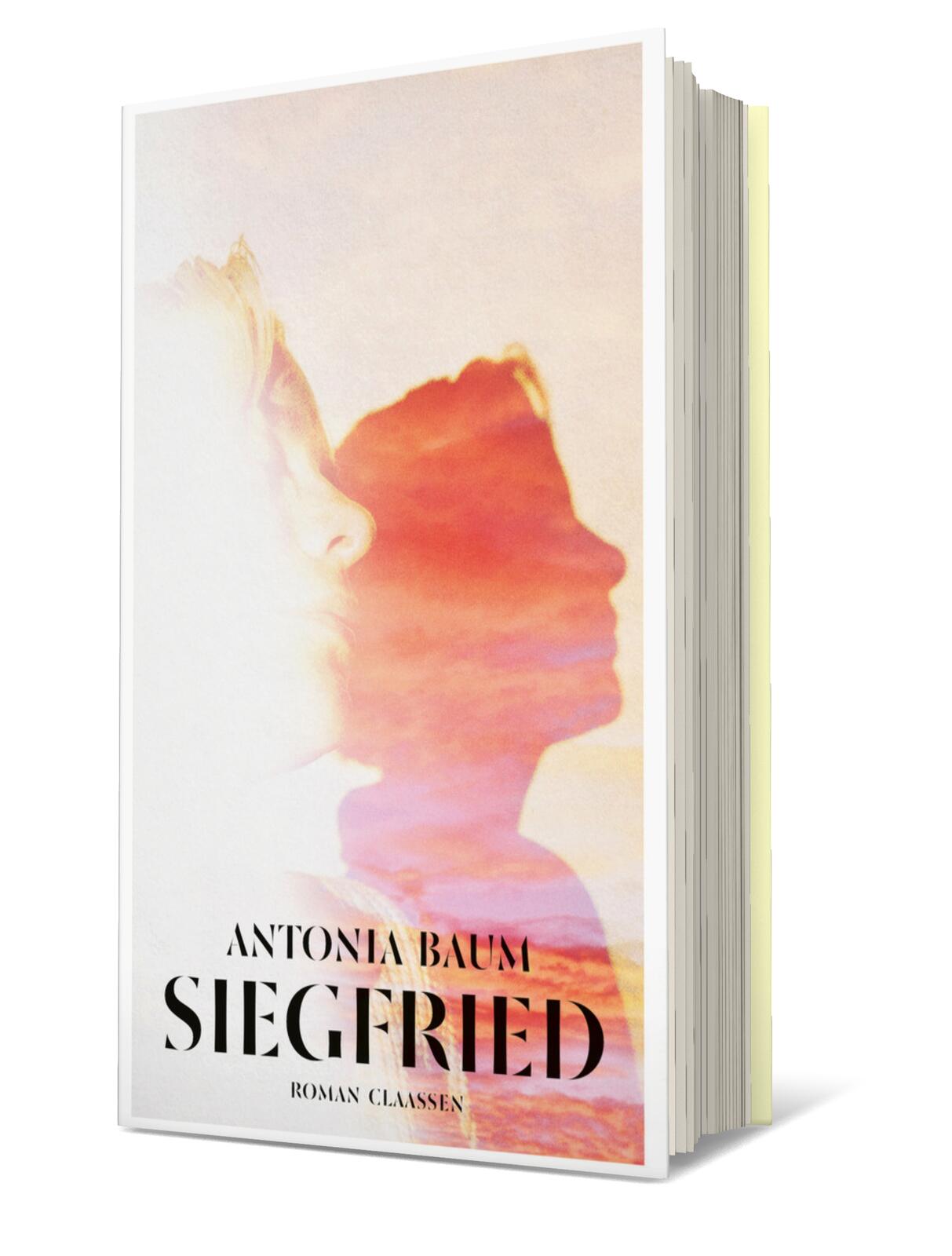 Anderes Coverbild Siegfried