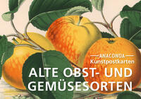 Vorderes Coverbild Postkarten-Set Alte Obst- und Gemüsesorten