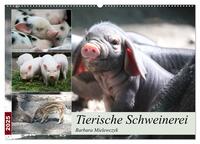 Vorderes Coverbild Tierische Schweinerei (Wandkalender 2025 DIN A2 quer), CALVENDO Monatskalender
