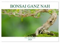 Vorderes Coverbild Bonsai ganz nah (Wandkalender 2025 DIN A2 quer), CALVENDO Monatskalender