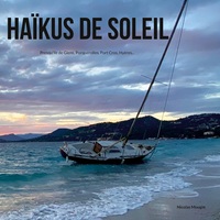 Vorderes Coverbild Haïkus de soleil