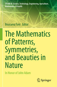 Vorderes Coverbild The Mathematics of Patterns, Symmetries, and Beauties in Nature
