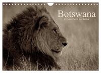 Vorderes Coverbild Botswana – Impressionen aus Afrika (Wandkalender 2025 DIN A4 quer), CALVENDO Monatskalender