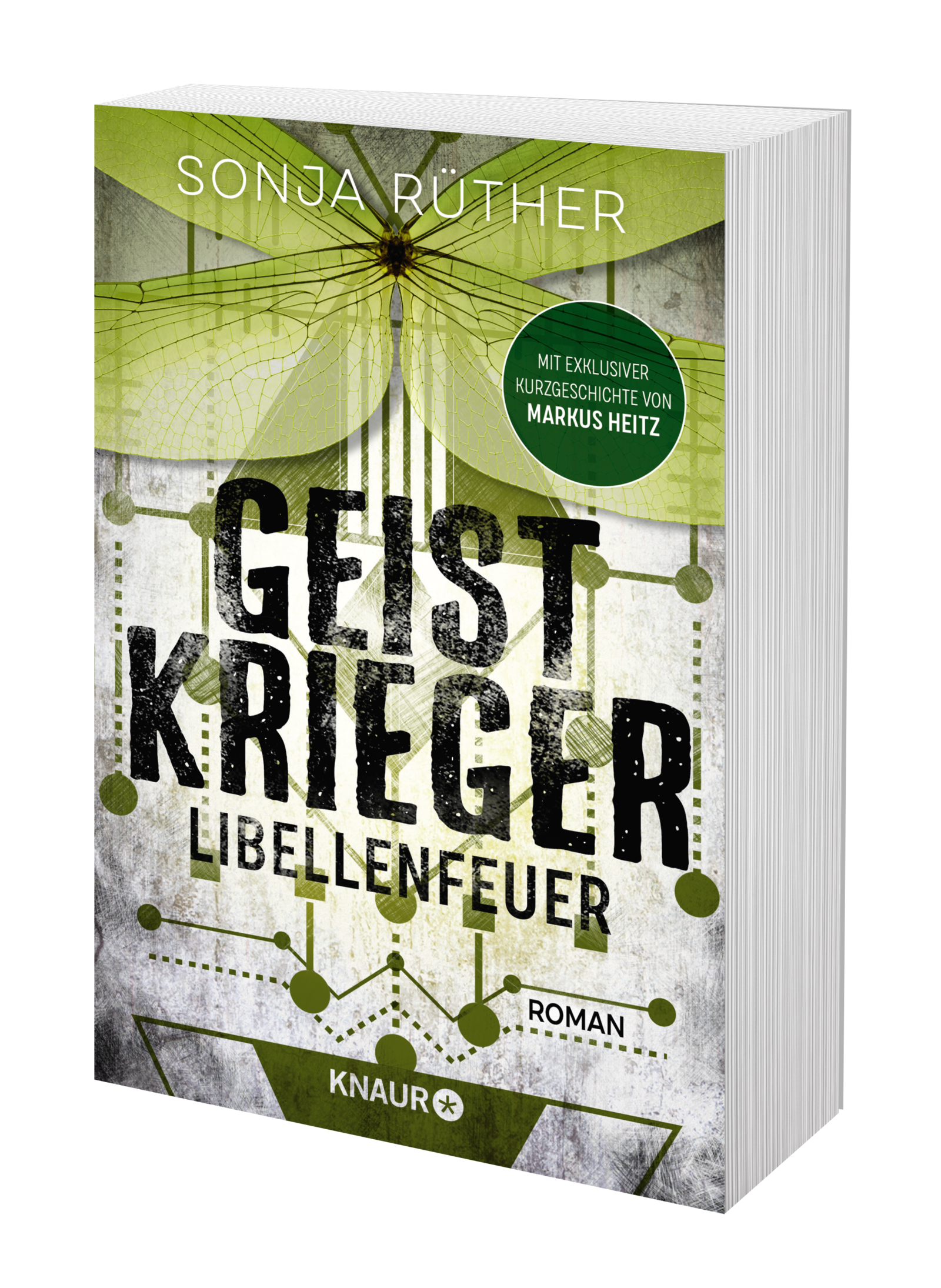 Anderes Coverbild Geistkrieger: Libellenfeuer