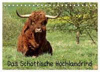 Vorderes Coverbild Das Schottische Hochlandrind (Tischkalender 2025 DIN A5 quer), CALVENDO Monatskalender