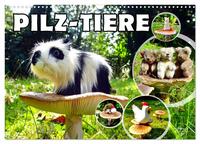 Vorderes Coverbild Pilz-Tiere (Wandkalender 2026 DIN A3 quer), CALVENDO Monatskalender