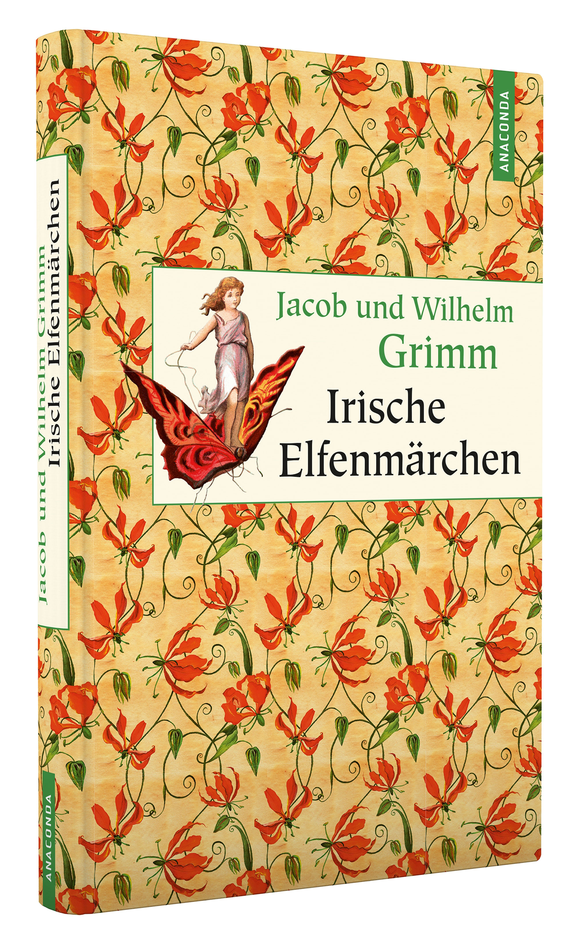 Beispielinhalt (Bild) Irische Elfenmärchen