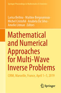 Vorderes Coverbild Mathematical and Numerical Approaches for Multi-Wave Inverse Problems