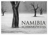 Vorderes Coverbild Namibia schwarzweiß (Wandkalender 2026 DIN A2 quer), CALVENDO Monatskalender