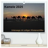 Vorderes Coverbild Kamele 2025 - Unterwegs mit zottigen Wüstenschiffen (hochwertiger Premium Wandkalender 2025 DIN A2 quer), Kunstdruck in Hochglanz
