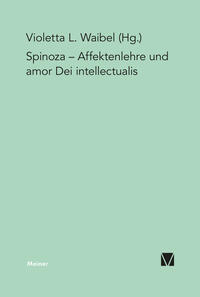 Vorderes Coverbild Affektenlehre und amor Dei intellectualis