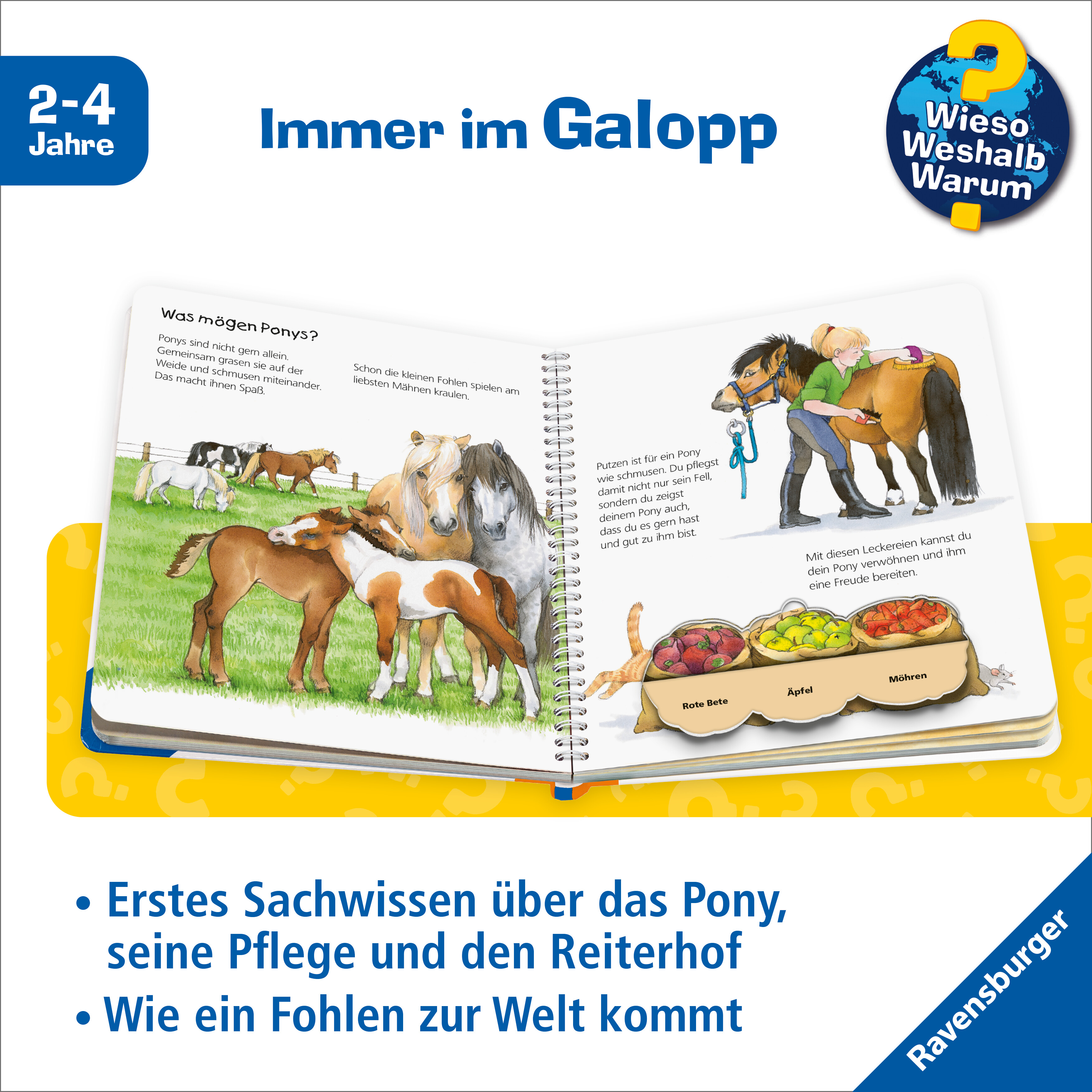 Beispielinhalt (Bild) Wieso? Weshalb? Warum? junior (2-4 J.), Band 20 - Das Pony