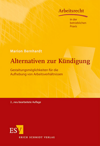 Vorderes Coverbild Alternativen zur Kündigung