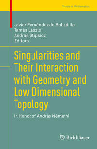 Vorderes Coverbild Singularities and Their Interaction with Geometry and Low Dimensional Topology
