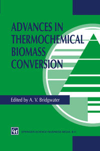 Vorderes Coverbild Advances in Thermochemical Biomass Conversion