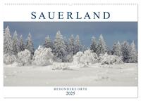 Vorderes Coverbild SAUERLAND – Besondere Orte (Wandkalender 2025 DIN A2 quer), CALVENDO Monatskalender