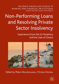 Vorderes Coverbild Non-Performing Loans and Resolving Private Sector Insolvency