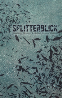 Vorderes Coverbild SplitterBlick