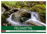 Vorderes Coverbild Feldaisttal bei Pregarten (Wandkalender 2025 DIN A2 quer), CALVENDO Monatskalender