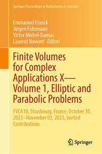 Vorderes Coverbild Finite Volumes for Complex Applications X—Volume 1, Elliptic and Parabolic Problems