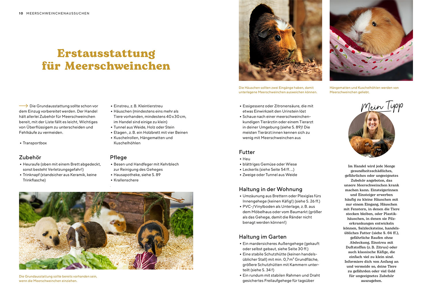 Beispielinhalt (Bild) Meerschweinchen