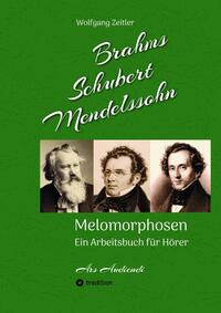 Vorderes Coverbild Brahms, Schubert, Mendelssohn: Melomorphosen - Früchte der Musikmeditation, sichtbar gemachte Informationsmatrix ausgewählter Musikstücke, Gestaltwerkzeuge für Musikhörer; ohne Verwendung von Noten